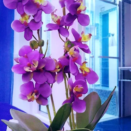 Nocleg ze śniadaniem Malu'