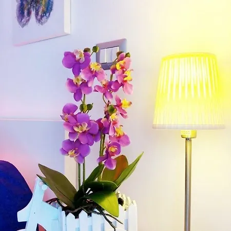 Oda ve Kahvaltı Malu' 4*