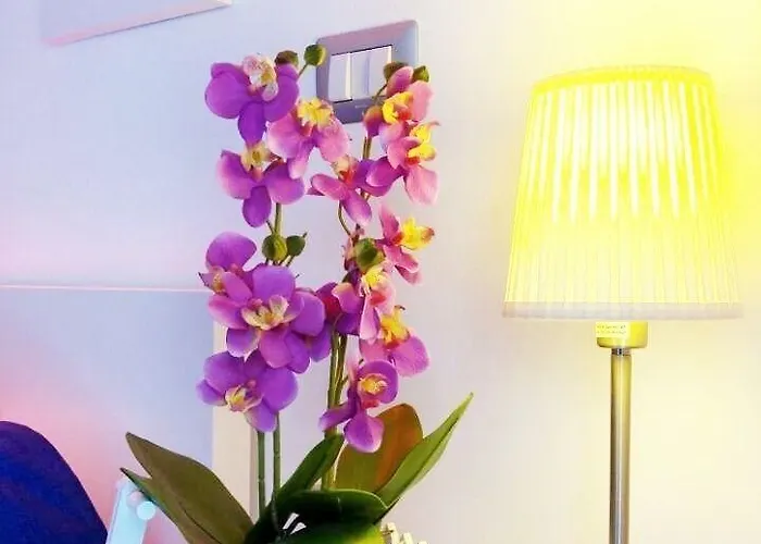 Couette-café Malu' 4*